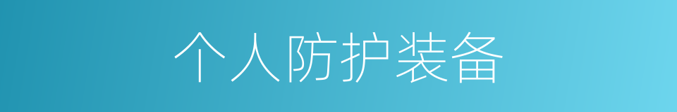 个人防护装备的同义词
