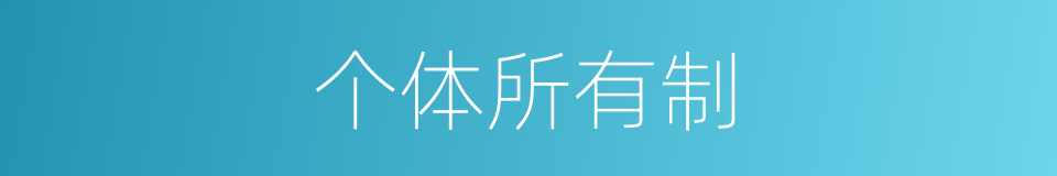 个体所有制的同义词