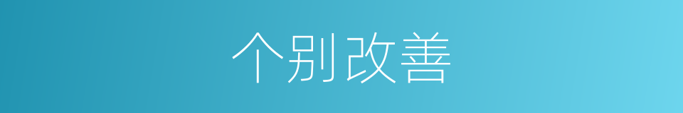 个别改善的同义词