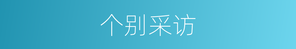 个别采访的同义词