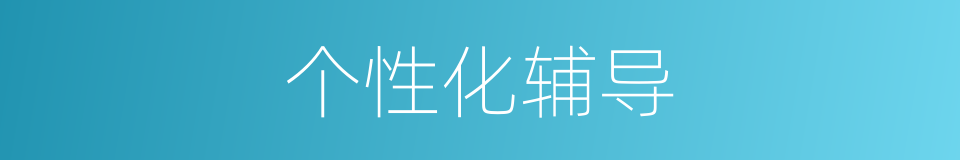 个性化辅导的同义词