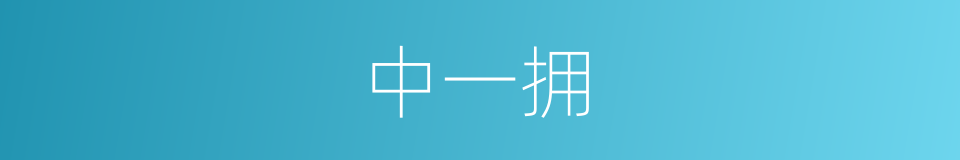 中一拥的同义词