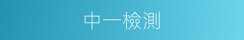 中一檢測的同義詞