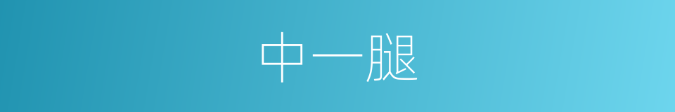中一腿的同义词