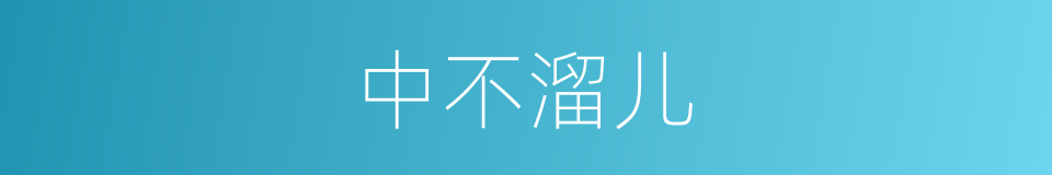 中不溜儿的意思