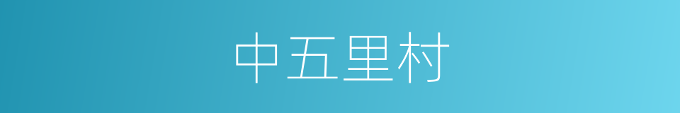 中五里村的同义词
