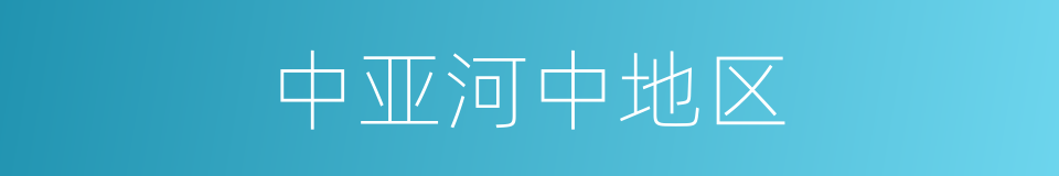 中亚河中地区的同义词