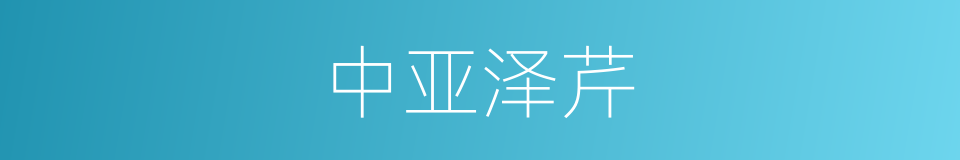 中亚泽芹的同义词