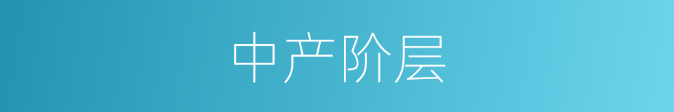 中产阶层的同义词
