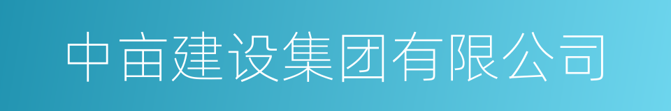 中亩建设集团有限公司的同义词