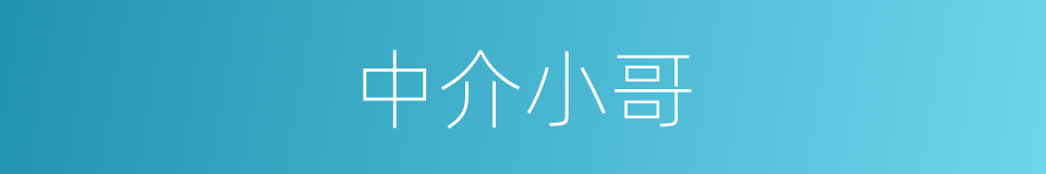 中介小哥的同义词