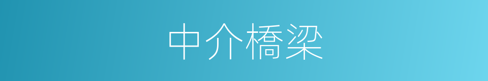 中介橋梁的同義詞