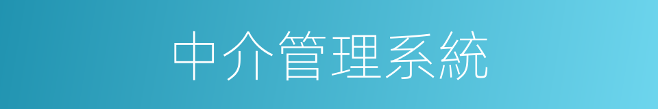 中介管理系統的同義詞