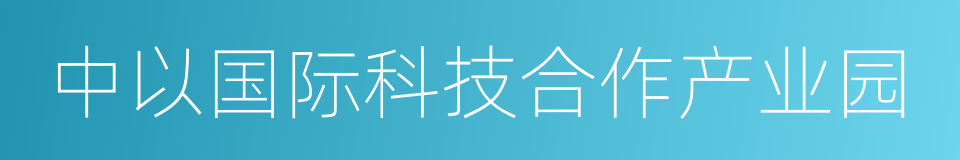 中以国际科技合作产业园的同义词