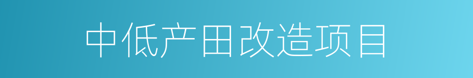 中低产田改造项目的同义词