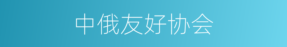 中俄友好协会的同义词