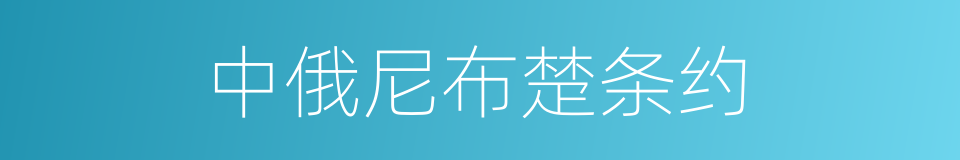 中俄尼布楚条约的同义词