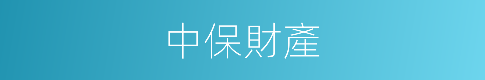 中保財產的同義詞