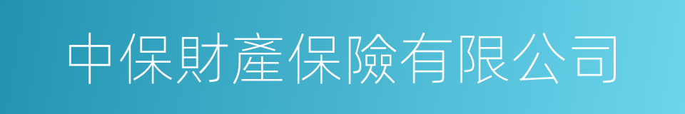 中保財產保險有限公司的同義詞