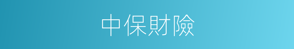 中保財險的同義詞