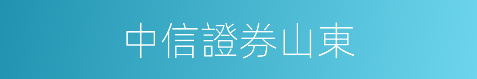 中信證券山東的同義詞