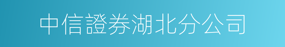 中信證券湖北分公司的同義詞