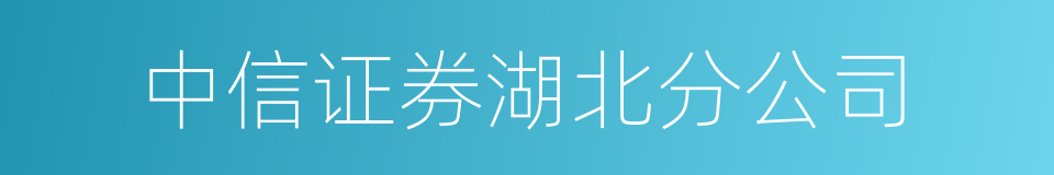 中信证券湖北分公司的同义词