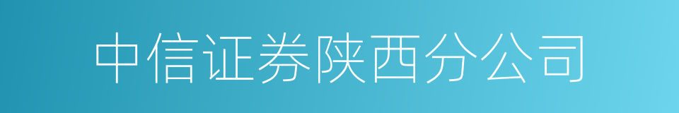 中信证券陕西分公司的同义词