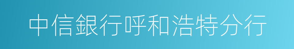 中信銀行呼和浩特分行的同義詞