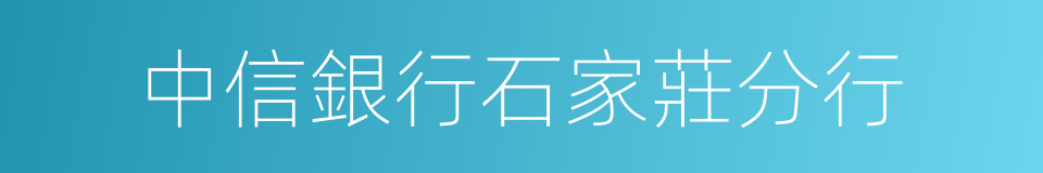 中信銀行石家莊分行的同義詞