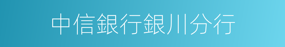 中信銀行銀川分行的同義詞