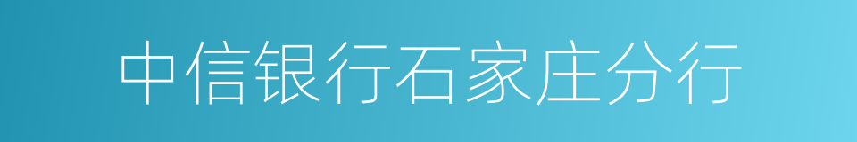 中信银行石家庄分行的同义词