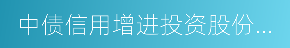 中债信用增进投资股份有限公司的同义词