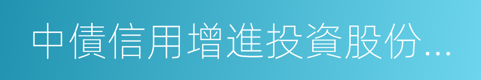 中債信用增進投資股份有限公司的意思