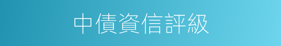 中債資信評級的同義詞