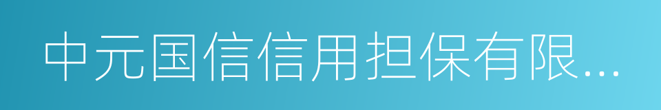 中元国信信用担保有限公司的同义词