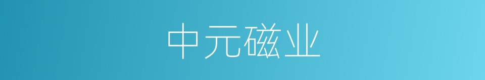 中元磁业的同义词