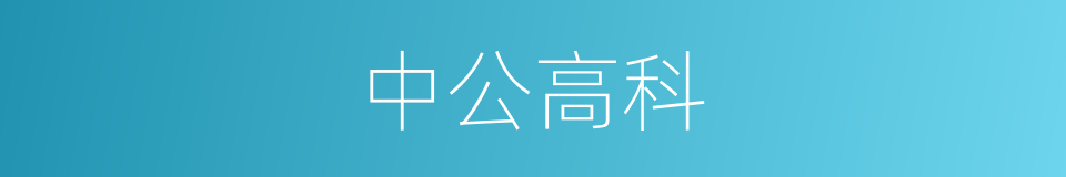 中公高科的同义词