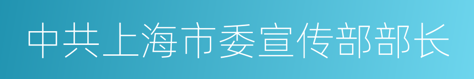 中共上海市委宣传部部长的同义词