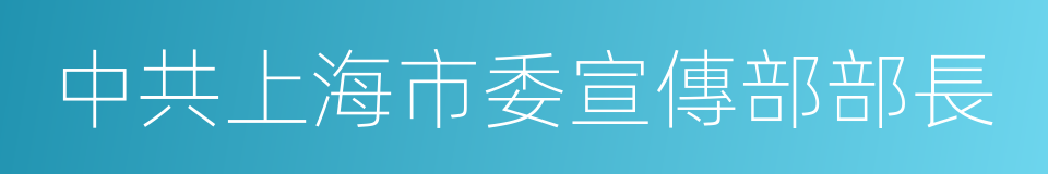 中共上海市委宣傳部部長的同義詞