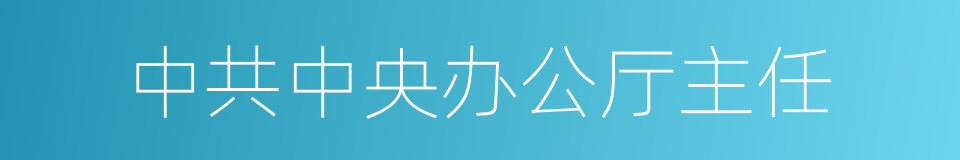 中共中央办公厅主任的同义词