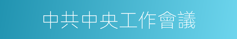 中共中央工作會議的同義詞