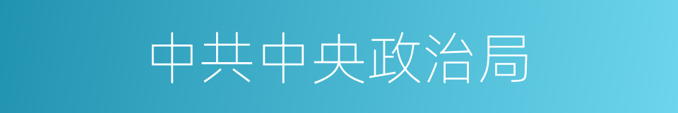 中共中央政治局的同义词