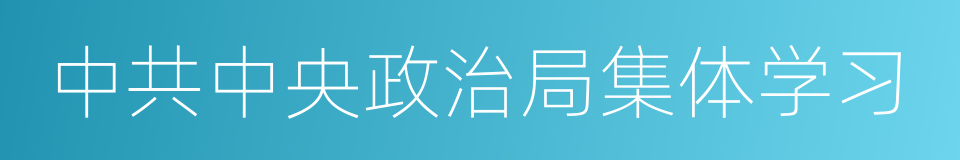 中共中央政治局集体学习的同义词