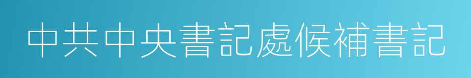 中共中央書記處候補書記的同義詞