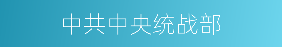 中共中央统战部的同义词