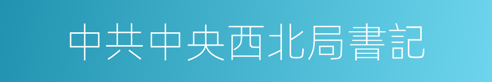 中共中央西北局書記的同義詞