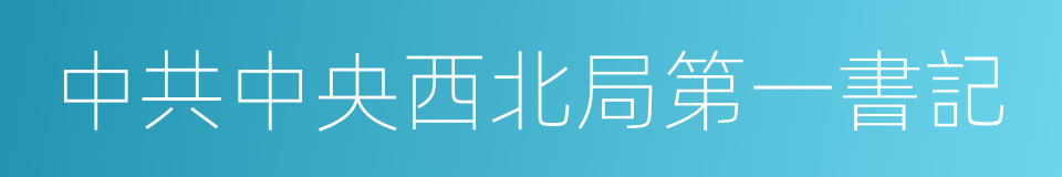 中共中央西北局第一書記的同義詞