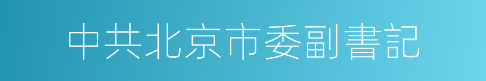 中共北京市委副書記的同義詞