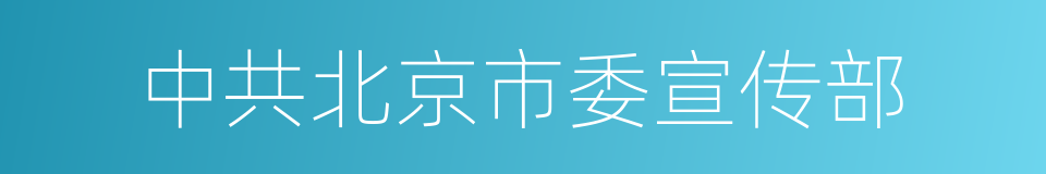 中共北京市委宣传部的同义词